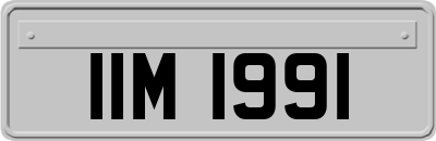 IIM1991