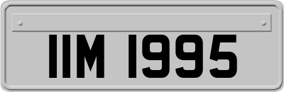 IIM1995