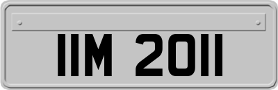 IIM2011