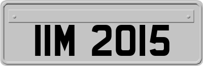 IIM2015