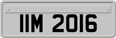 IIM2016