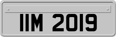 IIM2019