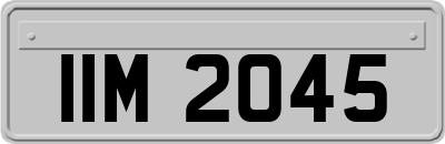 IIM2045