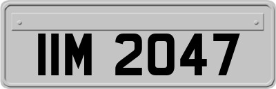 IIM2047