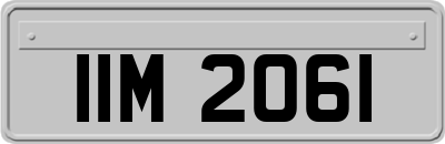 IIM2061