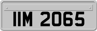 IIM2065