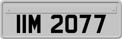 IIM2077