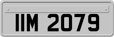 IIM2079