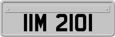 IIM2101