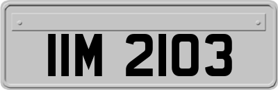 IIM2103