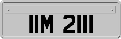 IIM2111