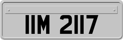 IIM2117