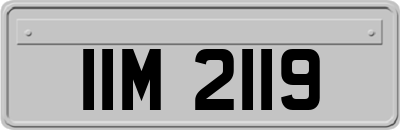 IIM2119
