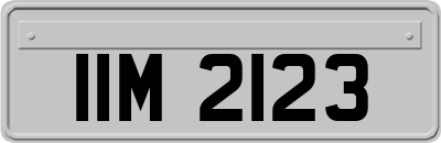 IIM2123