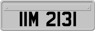 IIM2131