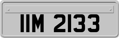 IIM2133