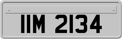 IIM2134