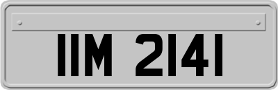 IIM2141