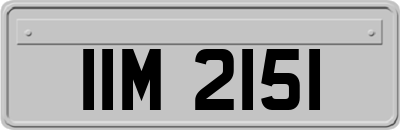 IIM2151