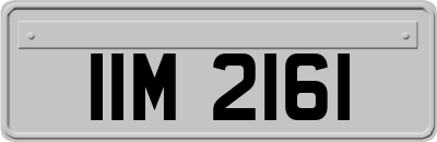 IIM2161