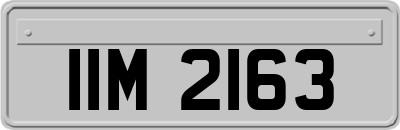 IIM2163