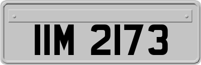 IIM2173