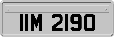 IIM2190