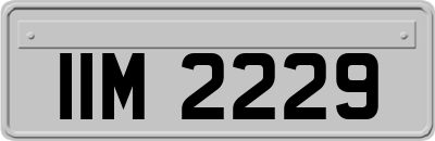 IIM2229