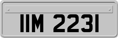 IIM2231