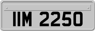 IIM2250