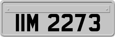 IIM2273