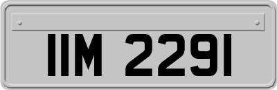 IIM2291