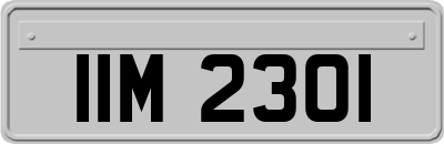 IIM2301