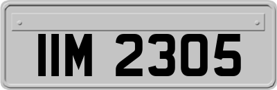 IIM2305