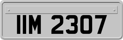 IIM2307