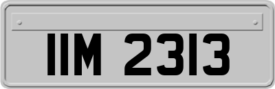 IIM2313