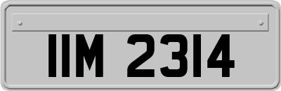 IIM2314