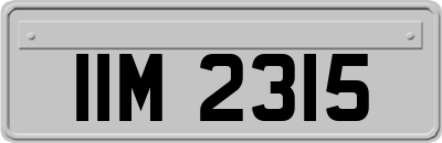 IIM2315