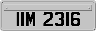 IIM2316