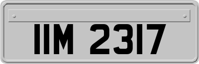 IIM2317