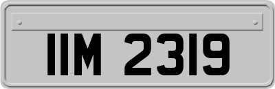 IIM2319