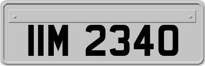 IIM2340