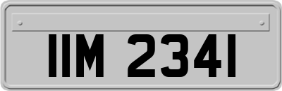 IIM2341