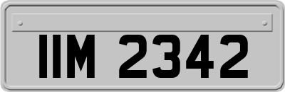 IIM2342