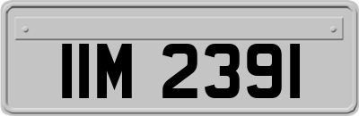 IIM2391
