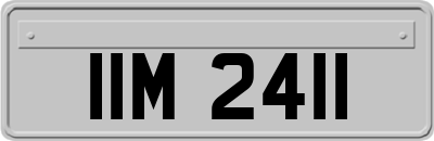 IIM2411