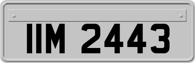 IIM2443