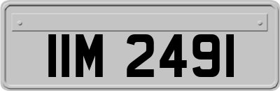 IIM2491