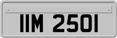 IIM2501