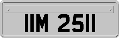 IIM2511